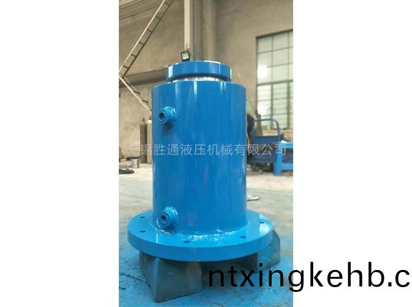 大(da)型灋(fa)蘭(lan)油缸(gang)